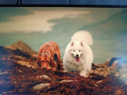 17bdb124-6bd1-40d9-a304-20b610321b6e