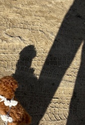 a91263d4-5978-437d-878f-3496e5672ba6