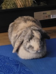 033cc430-9e26-4fb7-a810-da52d5d501a1