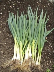 c403744b-ad45-49e2-9797-3e0a78f8457a