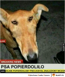 310071d2-2c27-487d-868a-3ef6ba5cff4e