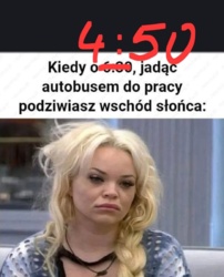 bf5653e1-d886-4dec-b66e-c0e13803b935