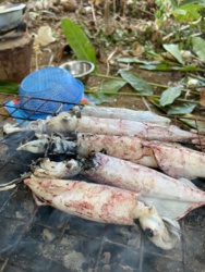 9c386014-96f3-444a-9b56-4a2079d232df