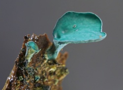 6d5c360d-b507-44cf-902c-ac11361eea5d