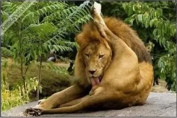 228ab73f-7113-4345-bfa0-bb4b15d1f6cc