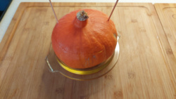 d867558f-3b09-4f1b-a1cf-e19016ff3c1a