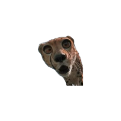 594b0a51-4357-4e6d-b5ce-d6b3ad92bb08