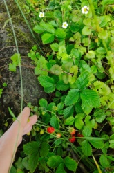 ed3512a2-4abe-470f-99f8-2356eaab2582