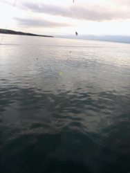 69130596-c362-44f5-8ec3-a41606c6c708