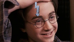 1c554484-754c-4198-a1cd-724369a76f12