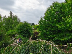 bd08f084-6b7d-42f1-9324-7778ab3817bb