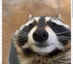 e855f90a-5e75-4d31-b9d2-83668646886a