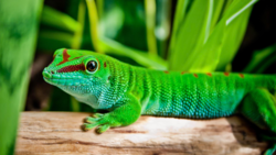 c5edf267-a8af-4ff5-a768-27c48a01e417