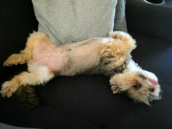 0ddbdd6d-665e-42e8-8e2e-706e64557823