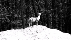 8724f826-c5c6-470d-958c-acd13a81adf1