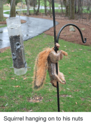 33d05d2c-f44f-4e14-af64-aafcadb3b423