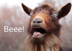 a5ea8c15-aeee-4f20-b817-730c0355c6bb