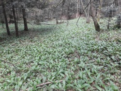 18d8540c-a084-400e-b217-bd431a99c149