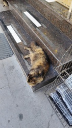 20d632fe-24cb-4745-9222-0e03262463c7