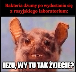 2bdd7116-29f8-448d-b70f-00793773884e
