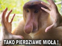 ef869795-727e-4165-8164-15034ebd38c8