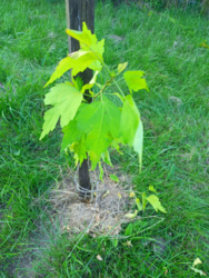 be276154-2254-480a-8f2a-55cdb208bd1b