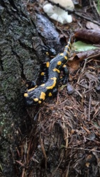 2f24946d-ad49-494e-985f-d97fc128a62b