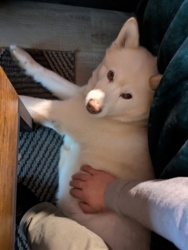 3d600161-066b-4270-8781-467cfb2b2920