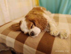 e885637f-07ee-4040-81c0-b583ce87cf25