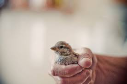 5b26dfc3-5ed1-4576-a6dc-746fb0cb8bd2