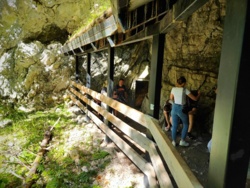 e6f73f44-05b2-451f-9123-a81fb6553e1a