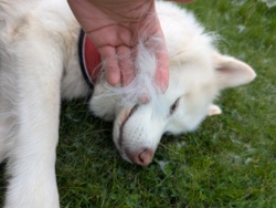 f7a138cb-3d85-439a-a104-6a7e24e027be