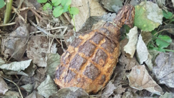 a85c1445-f7fb-4f47-9310-be38c7e633b5