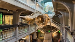 e8b6b8f6-0017-4743-aa80-f973bf6ce845