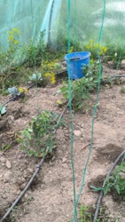 27d426b6-109d-4913-a6f2-dabf002de314