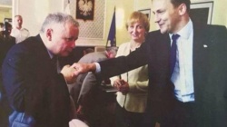 95d07993-d080-4ada-88f2-e38a4812ed43