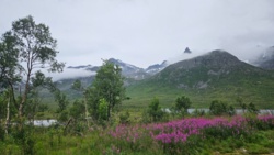 b2ea1449-ef34-484a-bfec-b4cbc5b6b70a