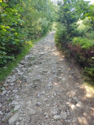 8ab4ed2a-2d73-4437-b875-2109283a4c53