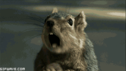 a1c44fd1-aa09-427f-85f0-3d717f896182