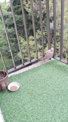 3538459c-e50e-4620-b8eb-199ed6059363