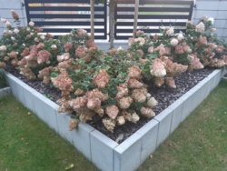 6cef868c-17e9-424e-9cf4-4787f8c33548