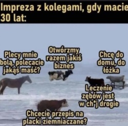 13c03c8e-92e7-4e6e-9e16-7000f7f9ef2b