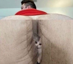 9ee60cf0-40ca-4e8a-b168-3c71df278e35