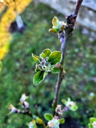 7f8c76e7-358b-4bca-9123-d07f8a626e3e