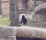 3b60696d-acd0-454c-8044-57b613b990b4