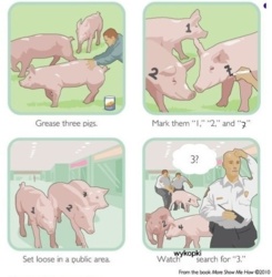 072f3eae-76c3-458c-ae87-4f5c83d9fe67