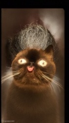 6d804ed8-bb92-4e47-9e5a-b4e25fb7c5cb