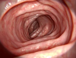 ef52dc1d-d66d-4e1c-8a64-0d81af356dd4