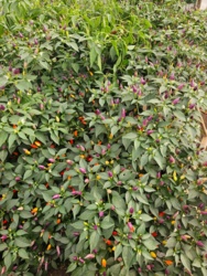 8cf0d354-b46a-4e48-a367-cafd2ea8f7c4