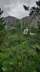 a830a841-bbcc-45d5-8efd-7e0f47dd9e72